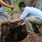 GJC-Chris and Loc planting a tree