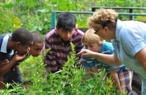 SchoolGarden