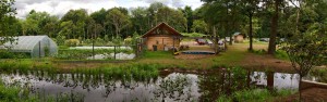 Wetland Panoramic