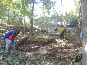 Before the shrubs were planted on spring side ave.