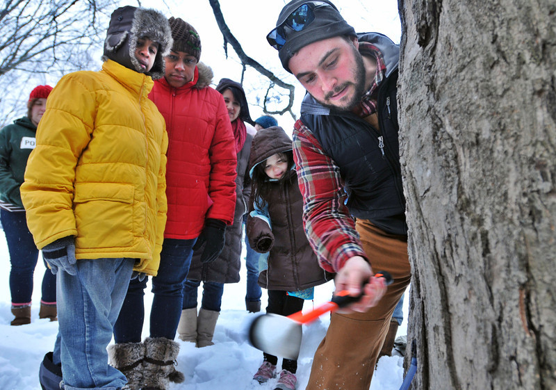 CG Kyle Sirianno demonstrates how to tap trees at Edgewood Park