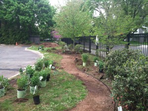 New habitat plantings about to go into the ground at Worthington Hooker.