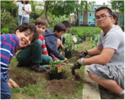 Students from Worthington-Hooker School in New Haven work with Common Ground students on the installation of their Schoolyard Habitat. This year, East Rock and Edgewood will design and install a wildlife habitat on campus.