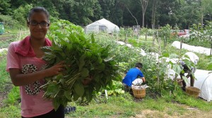 Crystal-FarmStand