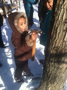 Learning to tap a a sugaring open house