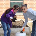 SchoolGarden