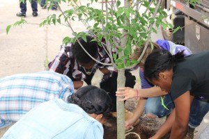 Students plant a tree in memory of Jericho Scott.