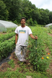 Rafay stands by a row he trellised.