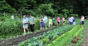 Farm Learning_Adults