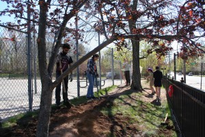 Common Ground Green Jobs Corps students lend a hand to community volunteers as they install the schoolyard habitat at Edgewood School.