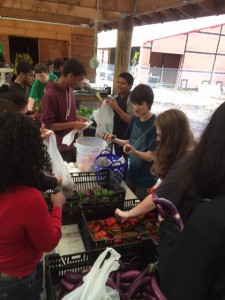 Students pack up produce harvested at Common Ground for the Farm Share program available to students and their families.