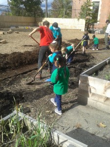 Children use rakes, shovels, and other garden tools to work on a school garden expansion program at Elm City Montessori School.