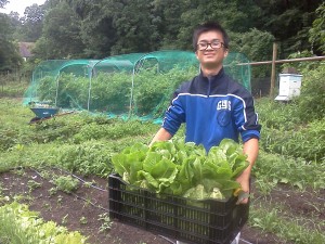 Loc Harvest