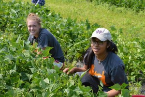 Two high school students work with plants on a farm.