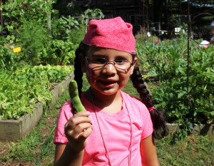 A girl holds a pea pod she just picked in the children's garden