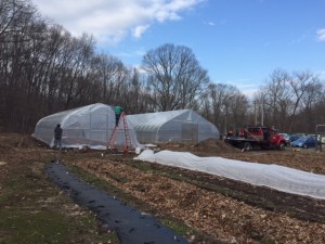 A new high tunnel on the farm at Common Ground