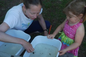 An invironmental educator teaches a toddler learns about the water bug she discovered in the wetland at Common Ground.