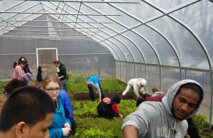Leah Penniman joins French students and farm staff in the garden. Photo Credit: Dishaun Harris. 