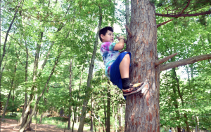 Nicholas Young, 7, climbs a tree during Choice Time at summer camp at Common Ground High School in New Haven on 7/22/2016. Photo by Arnold Gold/New Haven Register agold@newhavenregister.com