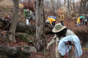 wintergreen-cleanup