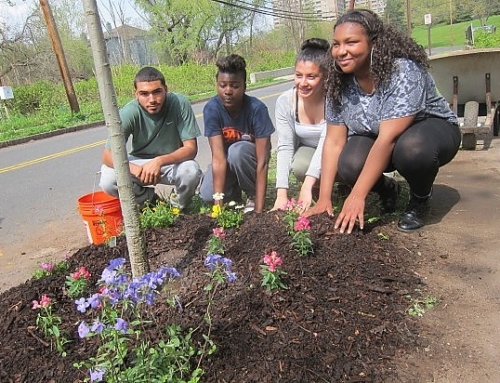 New Haven Independent: Javier’s Tree Grows in Heights