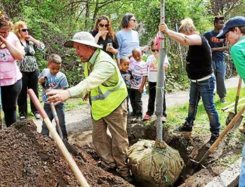 New Haven Register: Common Ground High School in New Haven honors slain student through tree plantings, educational wetlands