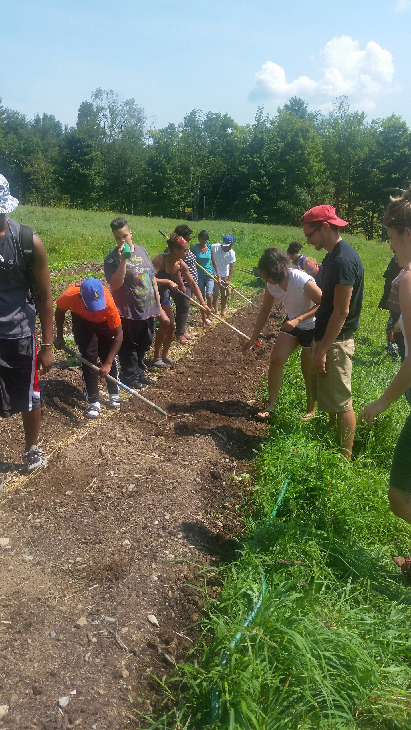A group of young farmers work the fields at Soul Fire Farm.