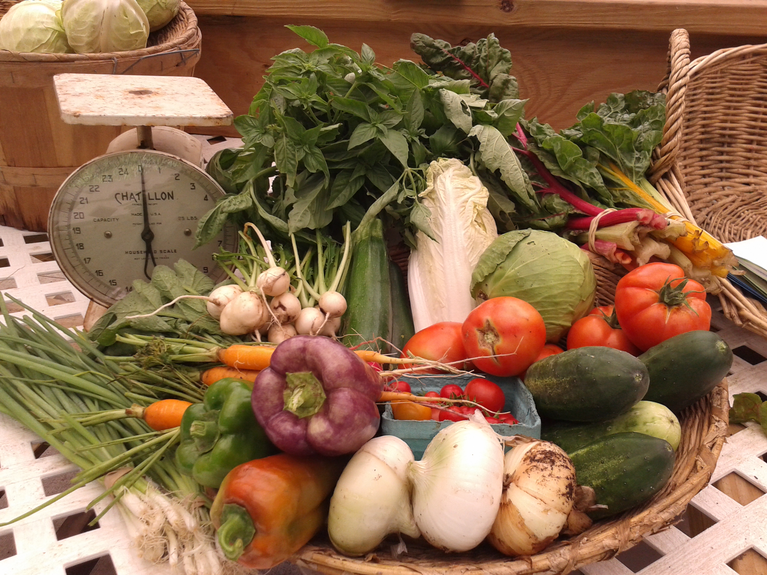 Fresh produce for sale from the Common Ground Farm stand