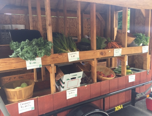 The Mobile Market is open for business (and in the news!)