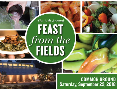 FEAST your eyes on this! CG was on News 8 talking Feast from the Fields